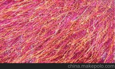 南京松針絨銷(xiāo)售與揚(yáng)州凱潤(rùn)達(dá)針紡織品 品質(zhì)與信賴(lài)的雙重保障